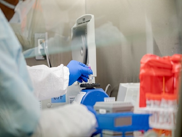 COVID-19 in human cells for vitro testing